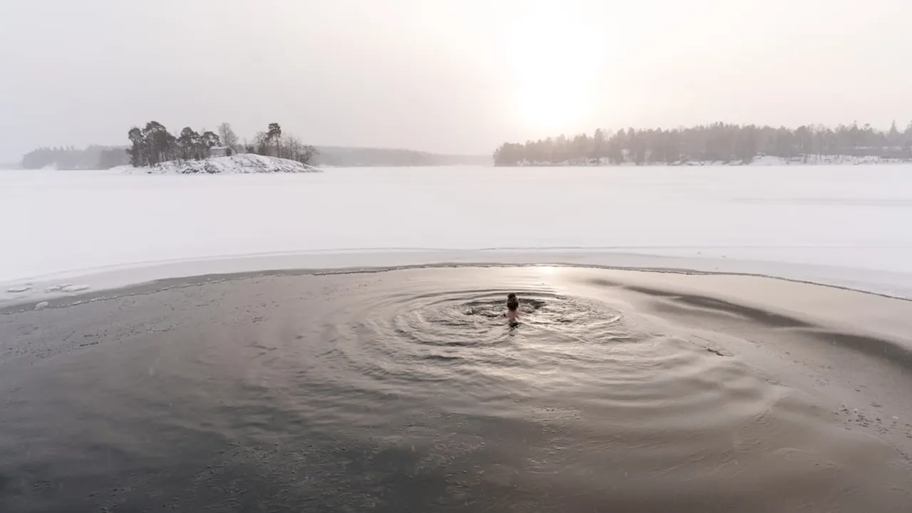 Vinterbadare i kall sjö i soldis